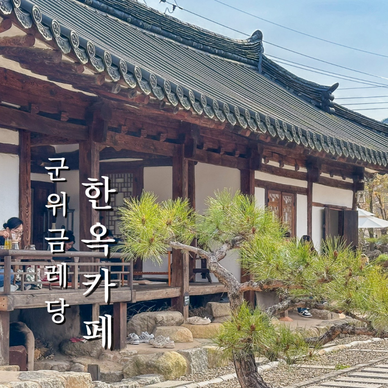 사진 6