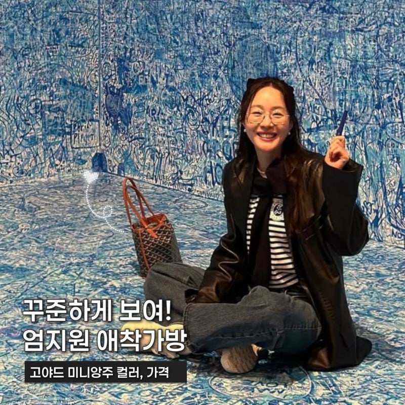 고야드 미니앙주 블랙탄 엄지원 애착 명품 미니백 가격 컬러 추천