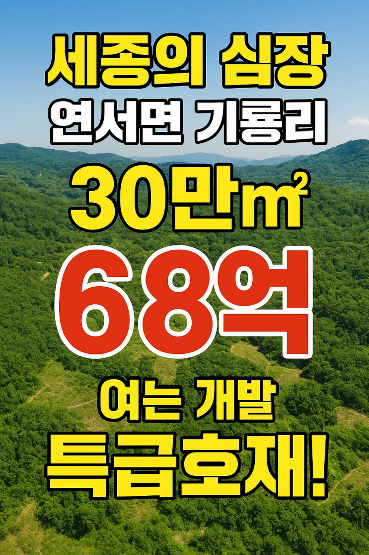  [세종의 심장] 연서면 기룡리 30만 초대형 임야! 68억[세종임야]