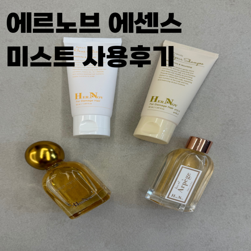 ✨ 에르노브 오일에센스 & 미스트 샴푸 트리트먼트 솔직 후기