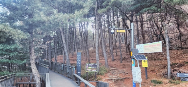  서울 금천구 호압사 호암늘솔길 짧은 산책코스