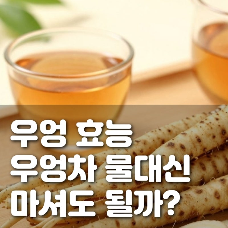 우엉 우엉차 효능, 당뇨 다이어트 카페인 물대신 괜찮을까?