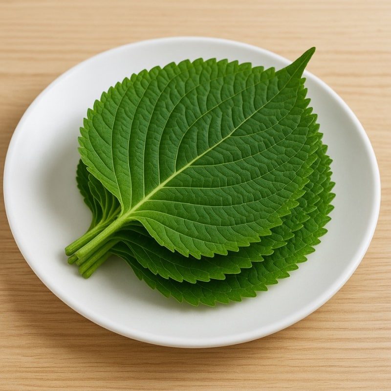 깻잎 효능 부작용 오래 보관법 이렇게 해야 오래갑니다