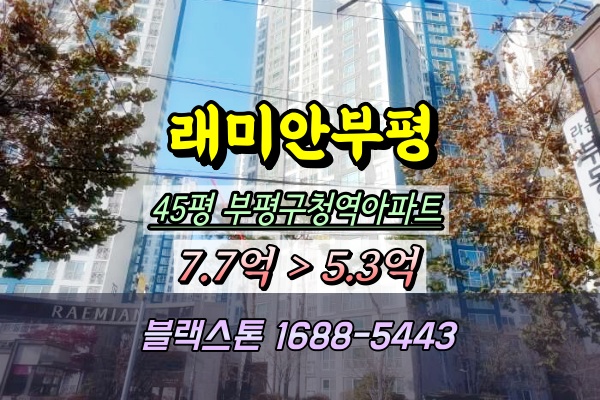  래미안부평아파트 경매 45평 부평구청역아파트