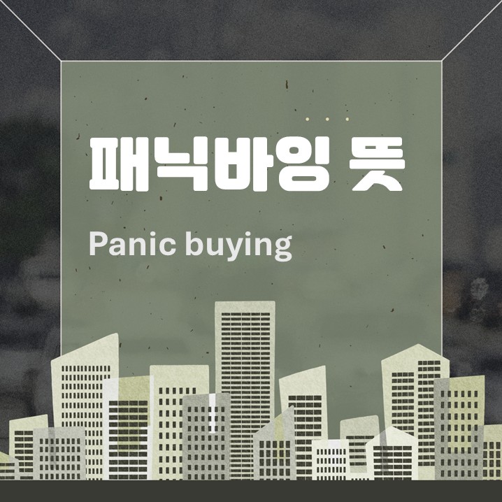  패닉바잉 뜻, 한강벨트를 선택한 배경