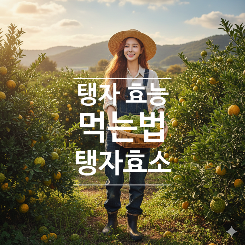 탱자 효능과 먹는법 탱자효소 열매 섭취 시 주의사항