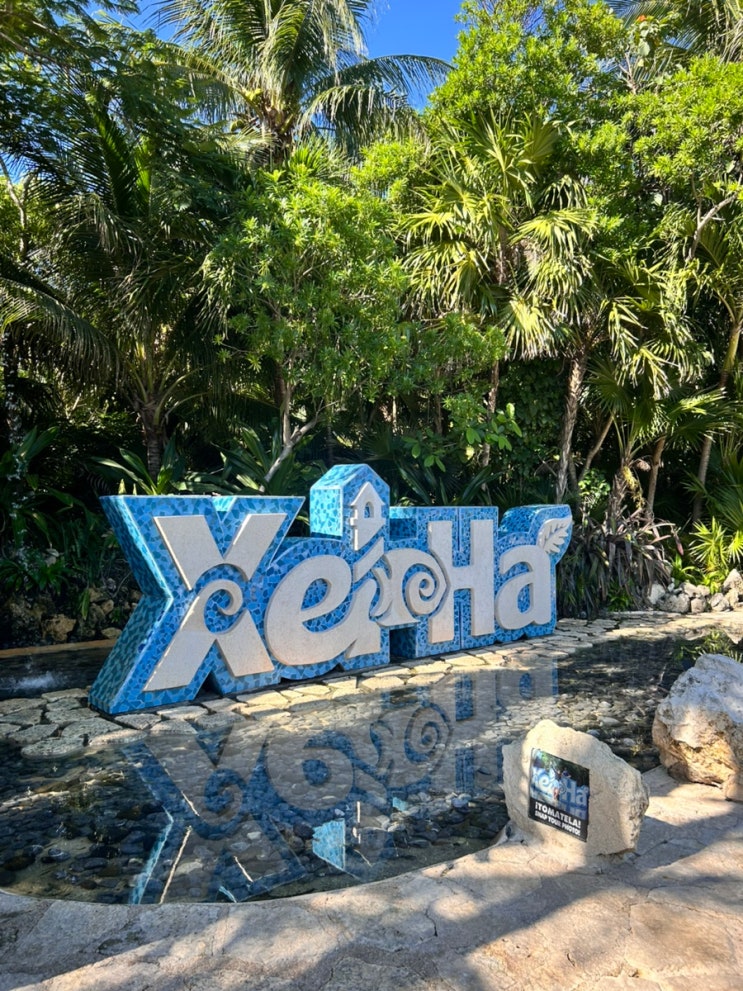  [칸쿤 신혼여행] 셀하(Xel-Ha) 버스 출발시간 준비물 선크림 팜투어