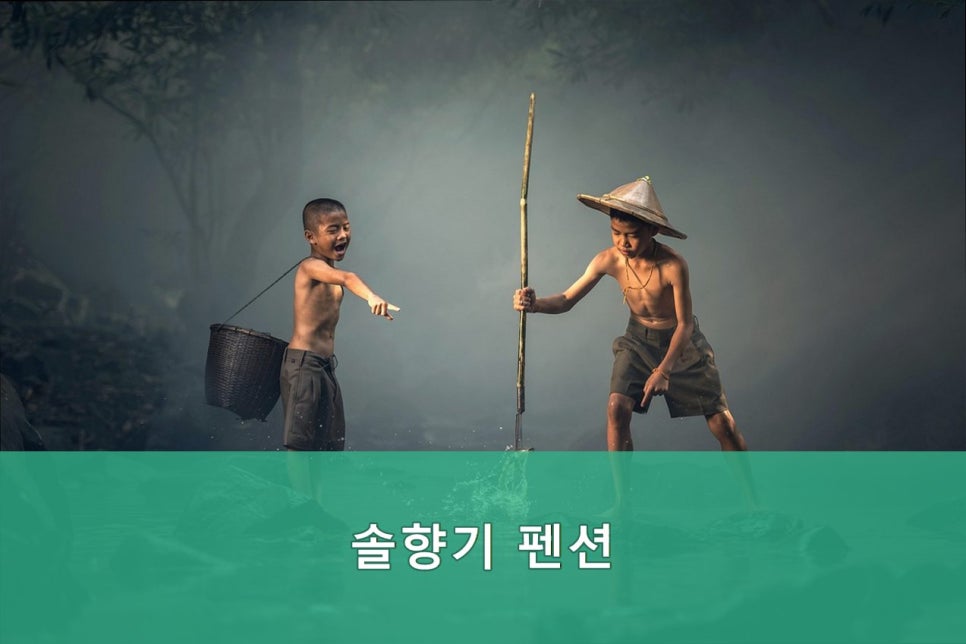 솔향기펜션 사진 5