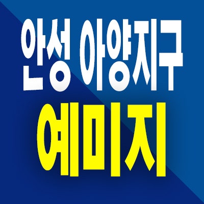  안성 아양지구 금성백조 예미지 분상제 옥산동 미분양아파트 분양가
