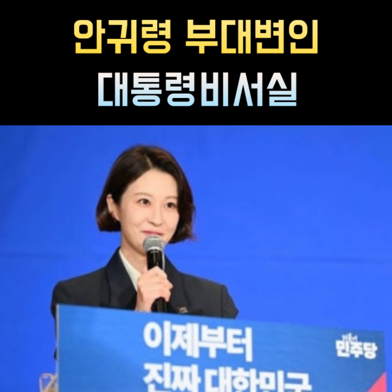안귀령 프로필, 대통령실 부대변인 나이 고향 학력