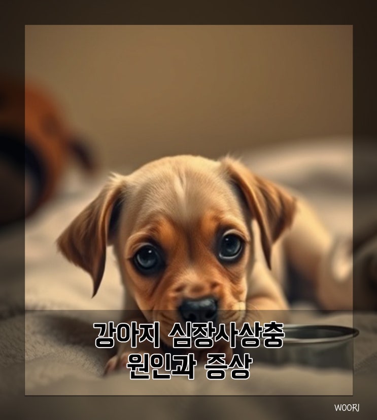  강아지 심장사상충 원인과 증상, 예방법