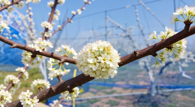 수정원 사진 4