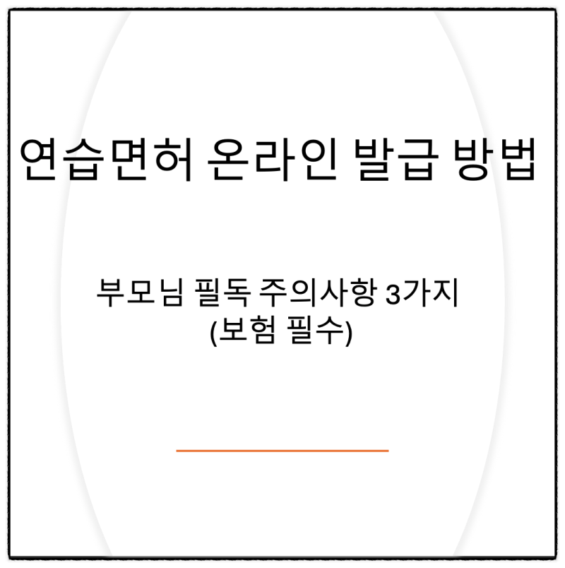 연습면허 온라인 발급 방법 & 부모님 필독 주의사항 3가지 (보험 필수)