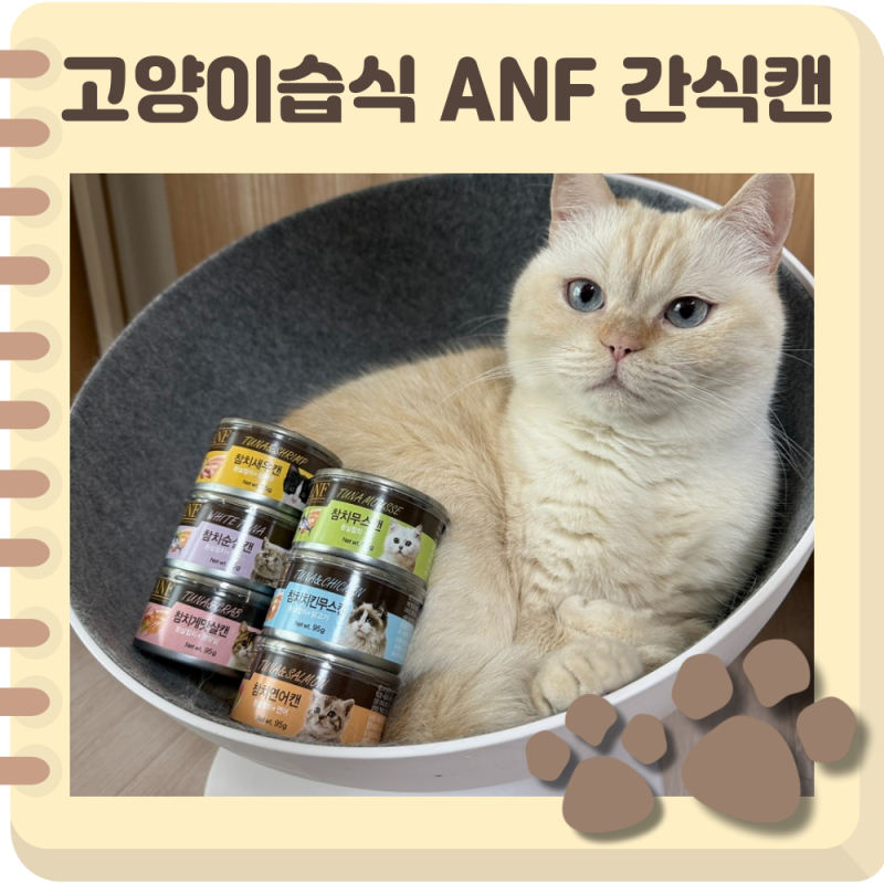 고양이 습식캔 추천 기호성 좋은 ANF 고양이 간식캔
