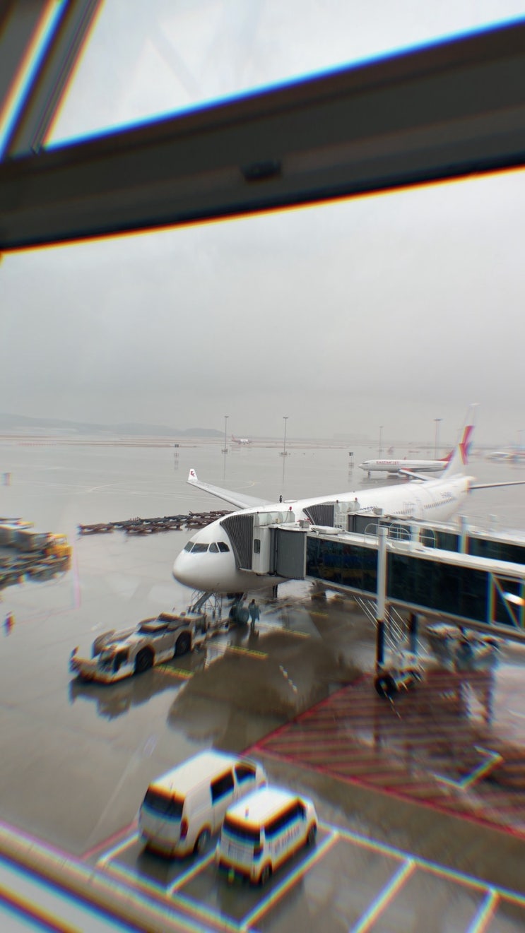  중국 도착