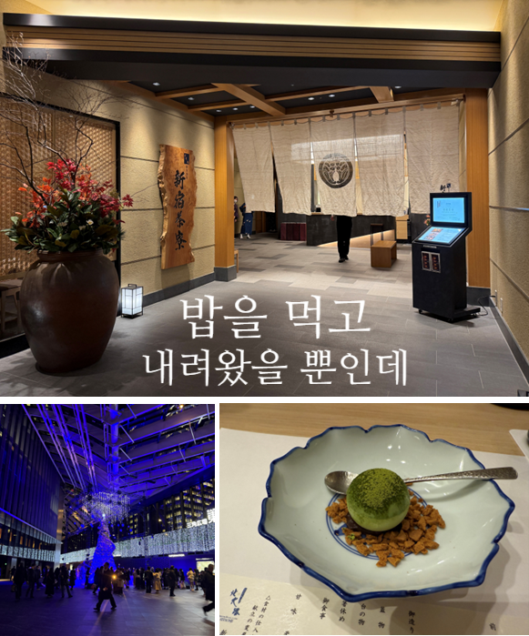  밥 먹고 내려왔을 뿐인데, 신주쿠가 빛나고 있었다.