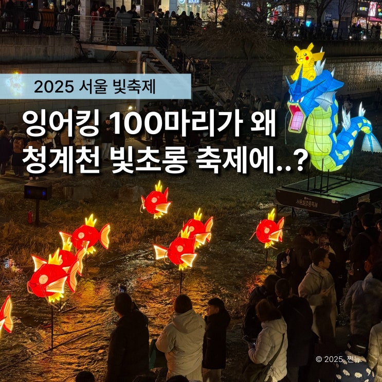  올해는 다르다.. 잉어킹 100마리 출몰 서울 청계천 빛초롱 축제