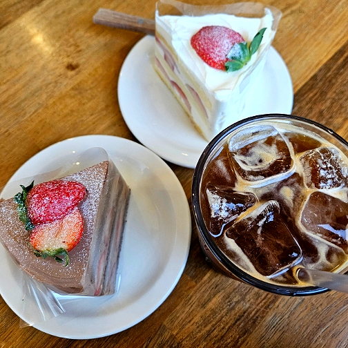  춘천 쌀케이크 맛집 쉬러와쌀케이크 내돈내산 후기 대형카페 추천