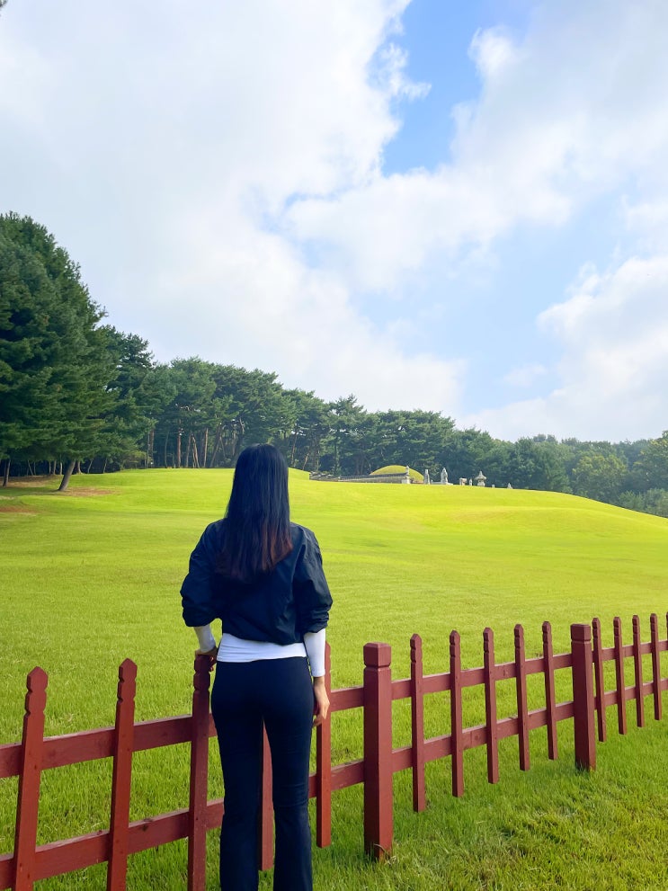  50대도 반한 조용한 걷기 성지, 융건릉 가보셨나요?