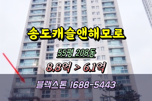  송도캐슬앤해모로 아파트 경매 55평 저층