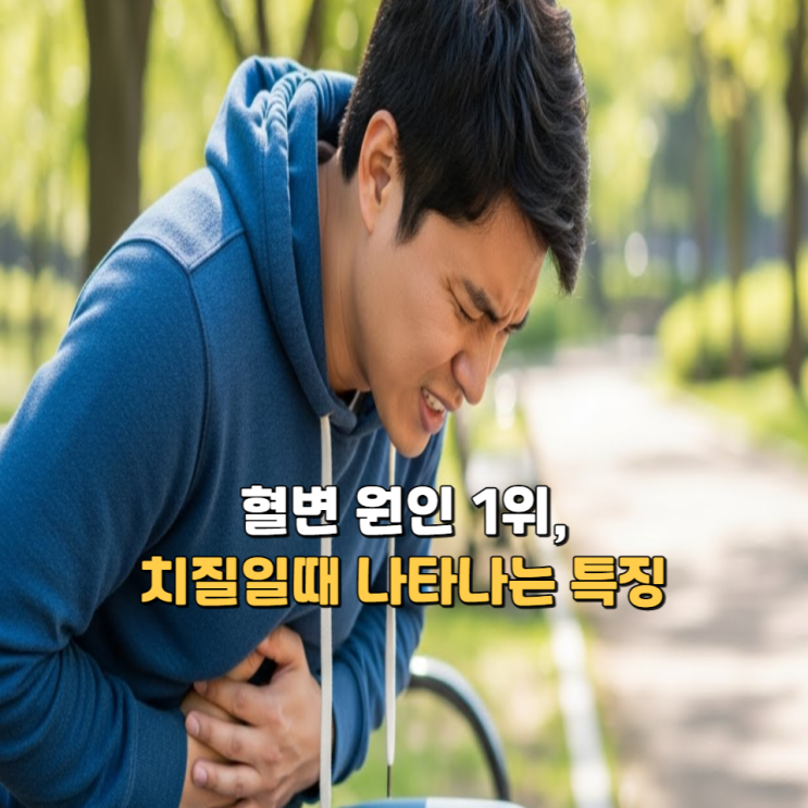 혈변원인 1위, 치질일때 나타나는 특징
