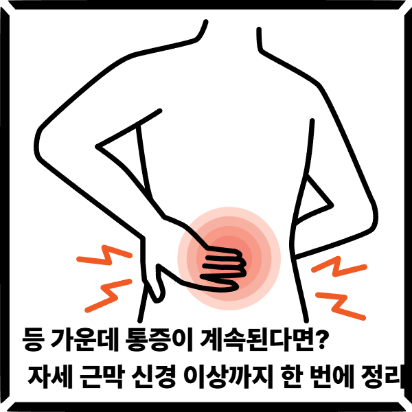  등 가운데 통증이 계속된다면? 자세 근막 신경 이상까지 한 번에 정리