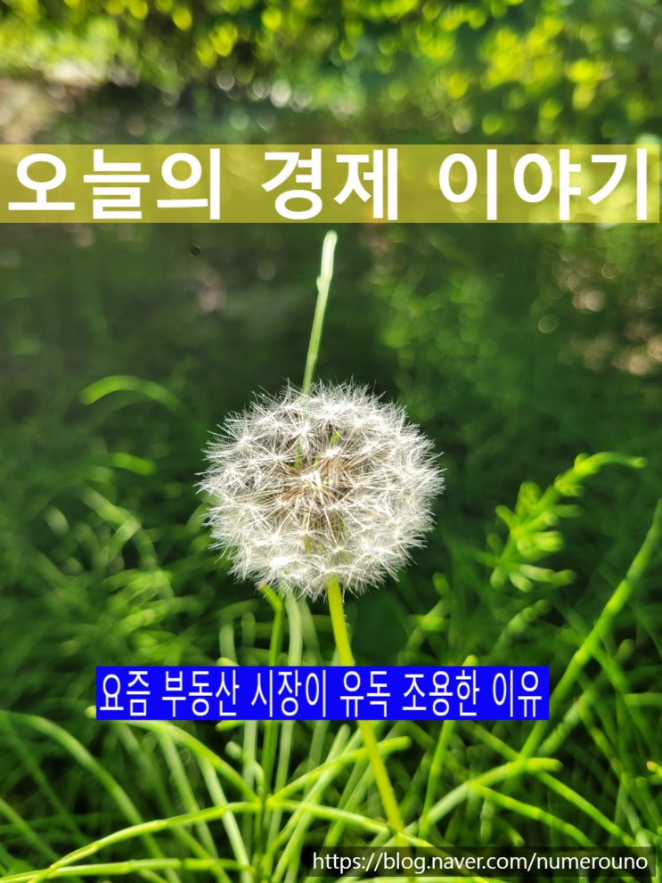  오늘의 경제 이야기, 지산왕(2025년 12월 13 )