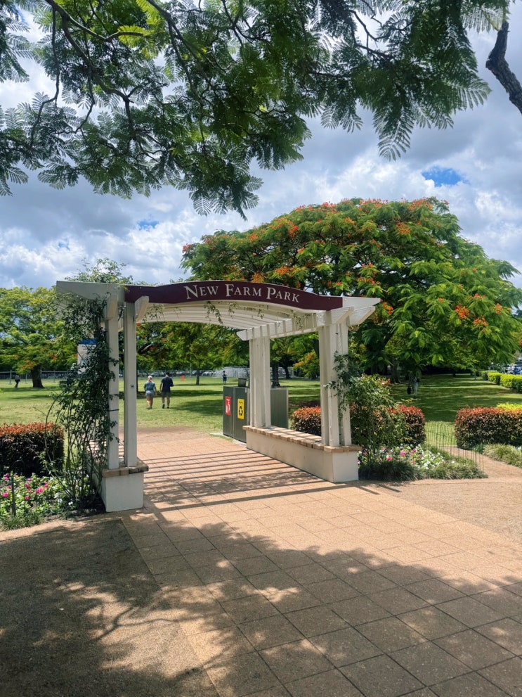  브리즈번 여행 뉴팜파크 New Farm Park 뉴팜 도서관 방문 후기