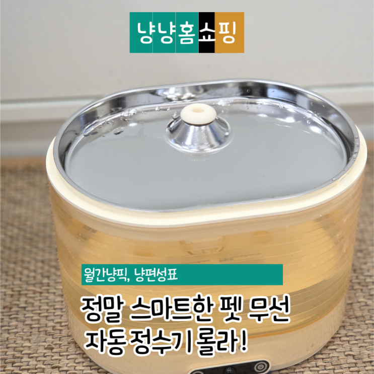  고양이정수기 추천 무선으로 이동 가능한 스테인리스 자동 급수기 롤라 펫