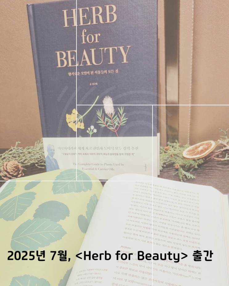  아로마교육, 11년간 1100명을 가르친 강사가 다시 학생이 된 이유?