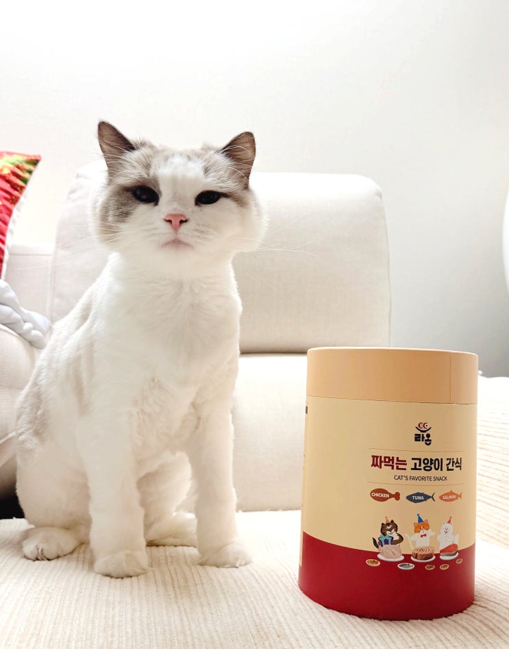  고양이 츄르 대용량 간식 추천, 세가지맛 네네린도 라온