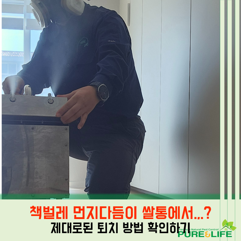책벌레 먼지다듬이 쌀통에서도 보인다면 어떻게 해야할까? 제대로된 퇴치 방법 확인하기
