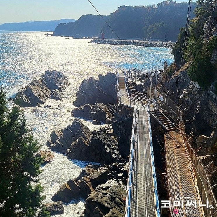  정동 심곡 바다부채길 산책 심곡 매표소~윤슬 카페까지