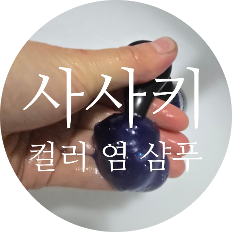 사사키 프로페셔널 보색 염색 컬러샴푸 블루