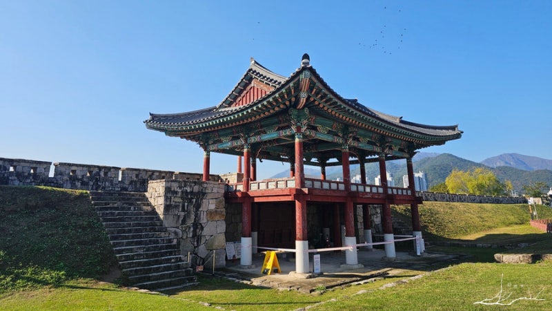 사진 5