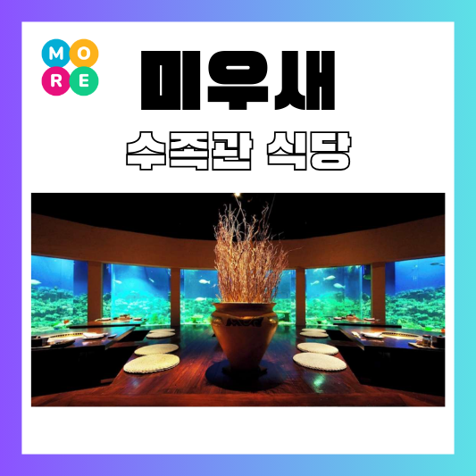  미우새 오키나와 서장훈 바다 수족관 식당 호텔 숙소 리조트 정보 위치 가격 어디 주소