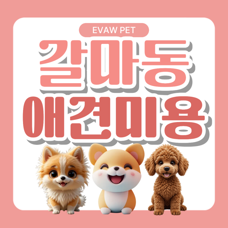  갈마동애견미용학원, 자격증만 있으면 취업이 가능할까요?