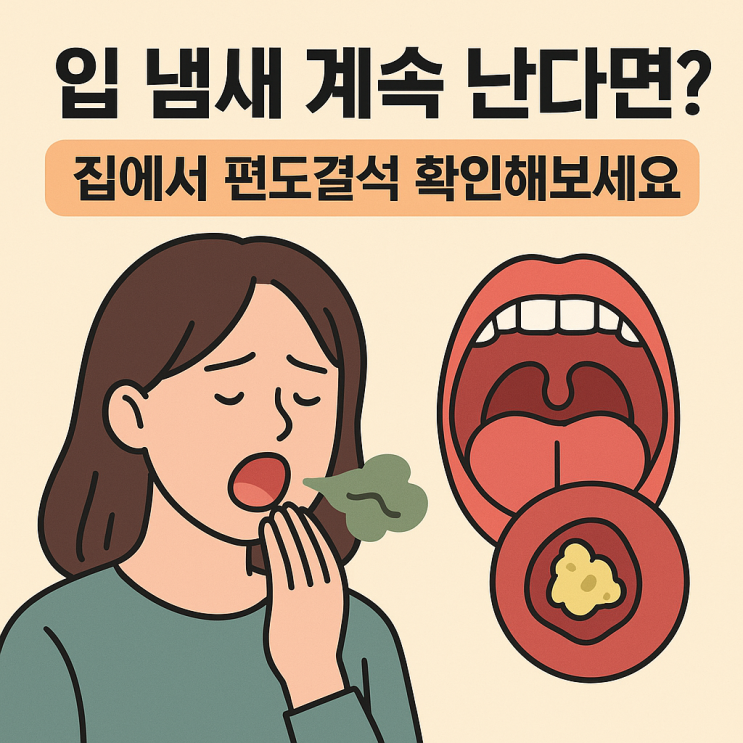   편도결석 자가진단 방법 — 집에서 확인하는 법