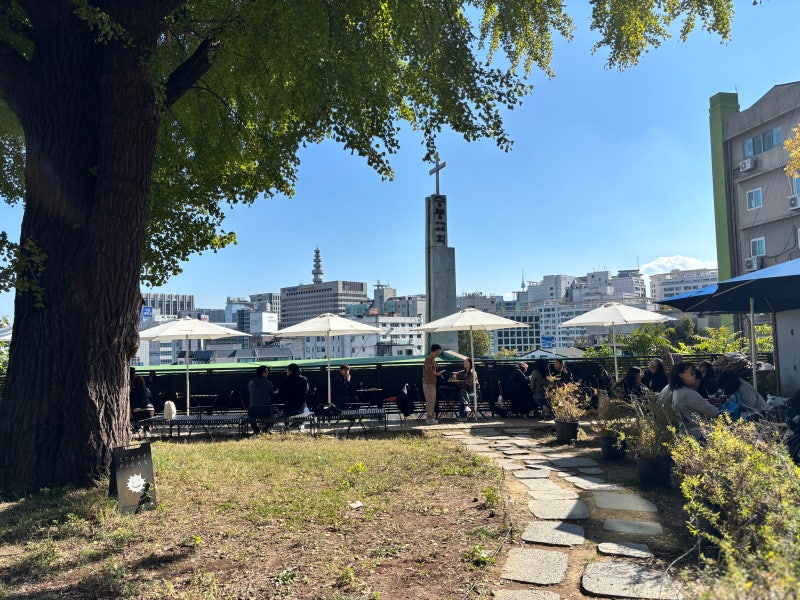 사진 4