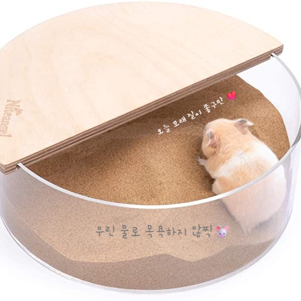  햄스터 모래 목욕을 하는 이유 뭘까?