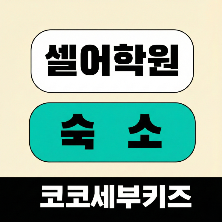  [세부 셀 아카데미] 찐신축 내부 기숙사 vs 가성비 외부 호텔! 우리 가족 선택은? 