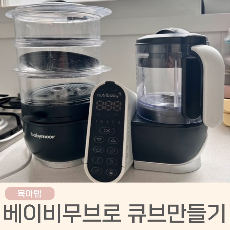 초보 엄마도 쉽게 따라하는 베이비무브 사용법과 이유식큐브 만들기