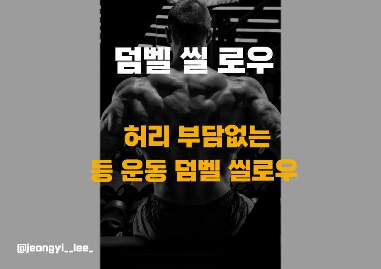  허리 부담 없는 초보 등 운동 덤벨 씰로우