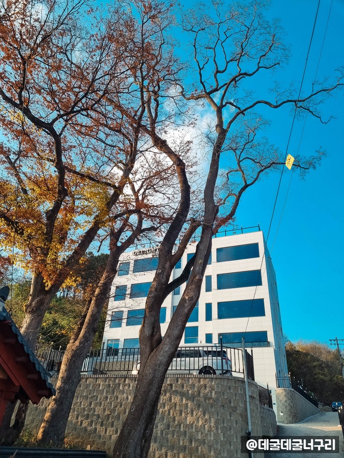 사진 2