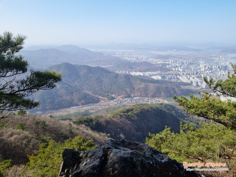 사진 5