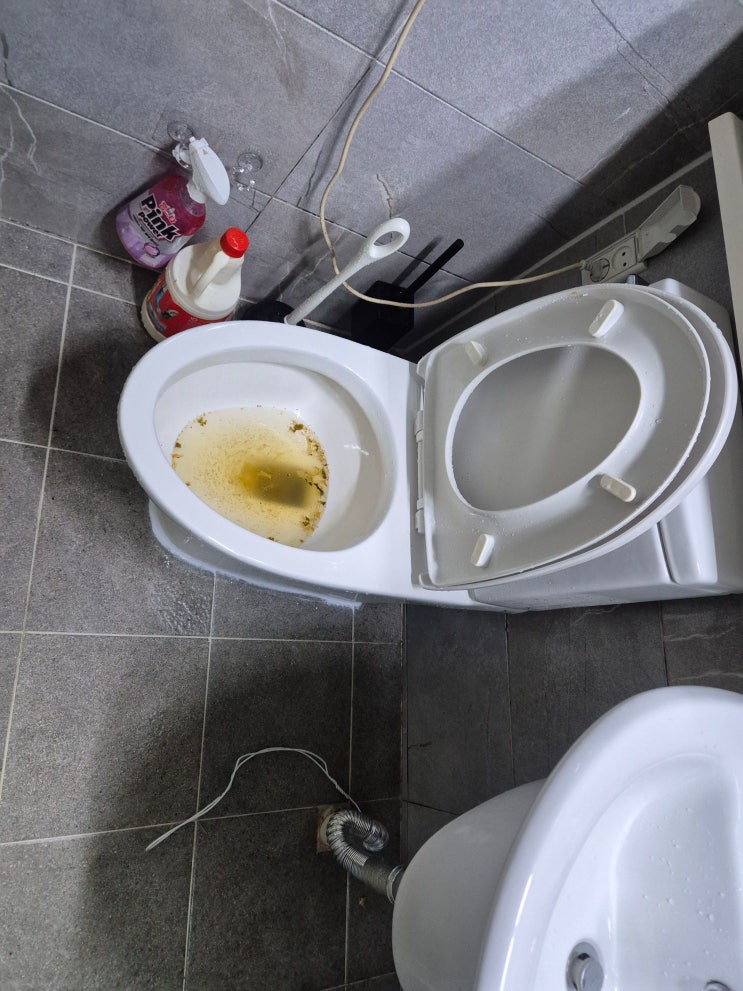  화장실 단독주택 변기 역류 정화조로 가는 배관 물티슈 치실이 문제