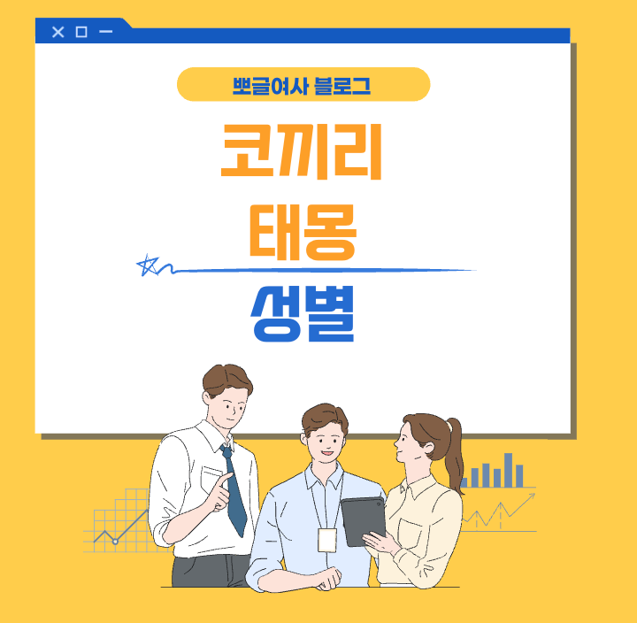 코끼리 태몽 뜻 성별 알려드릴게요!