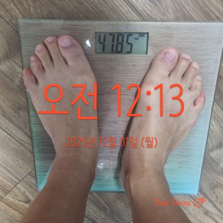  여자 바디프로필 촬영자 유지어터 2주차 후기