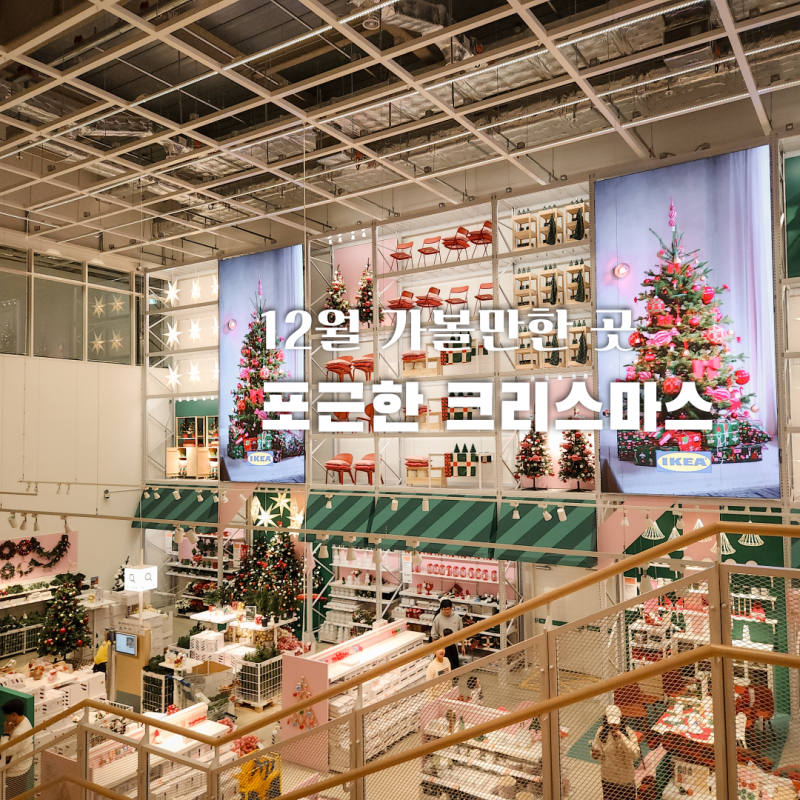 12월 가볼만한 곳 크리스마스 트리 인테리어 강동 이케아