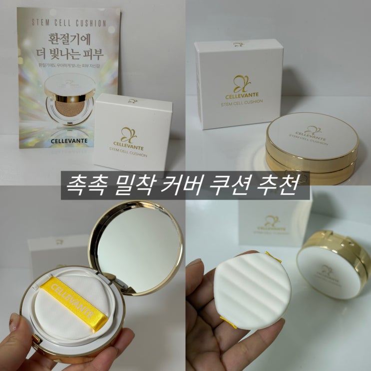  커버력 좋은 쿠션 추천 셀르반떼 스템셀쿠션
